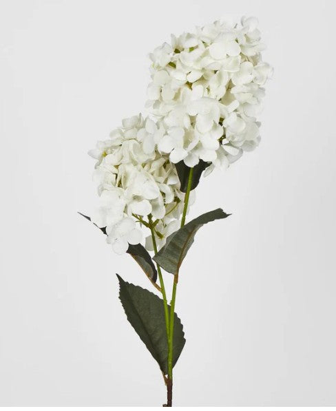 Cone Hydrangea 93cm