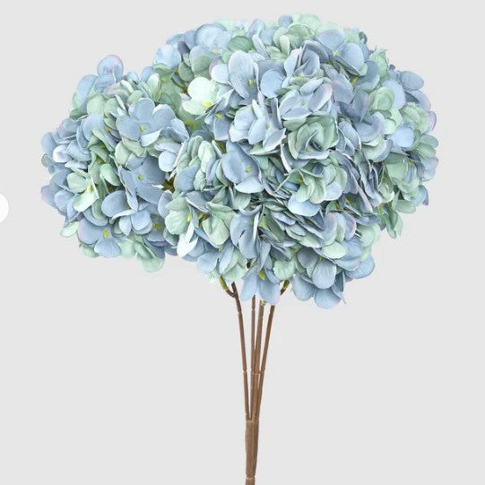 Hydrangea Bush Dark Blue