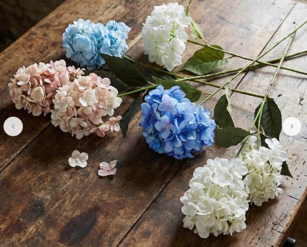 Cone Hydrangea 93cm