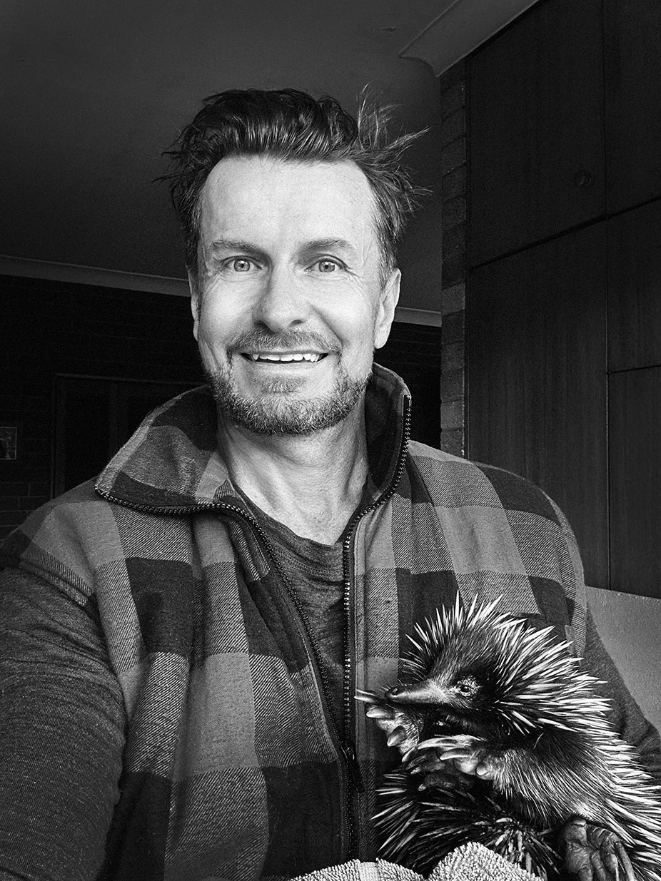 Jason McDonald Collection "Echidna in the Kitchen"