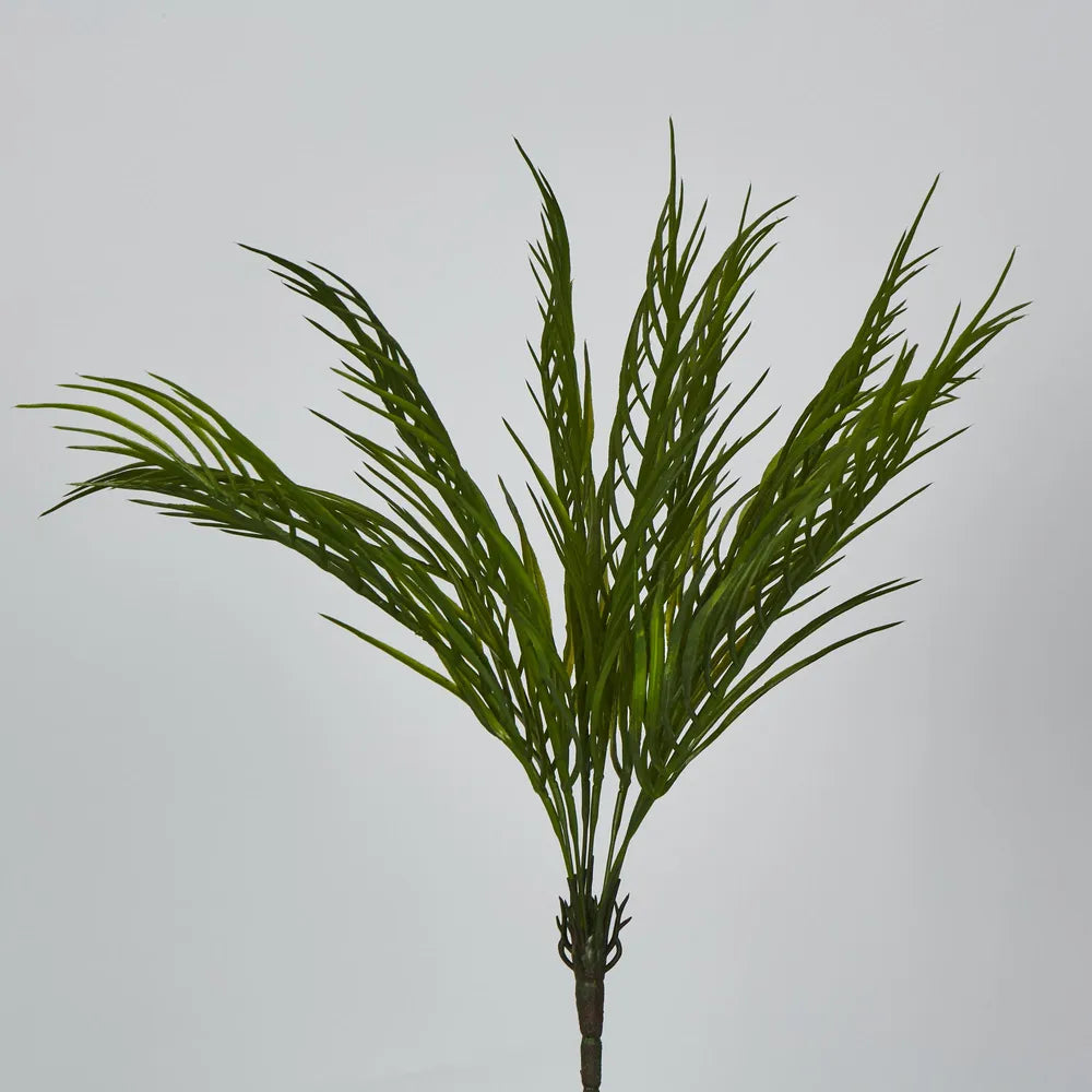 Green Fern Palm Bush