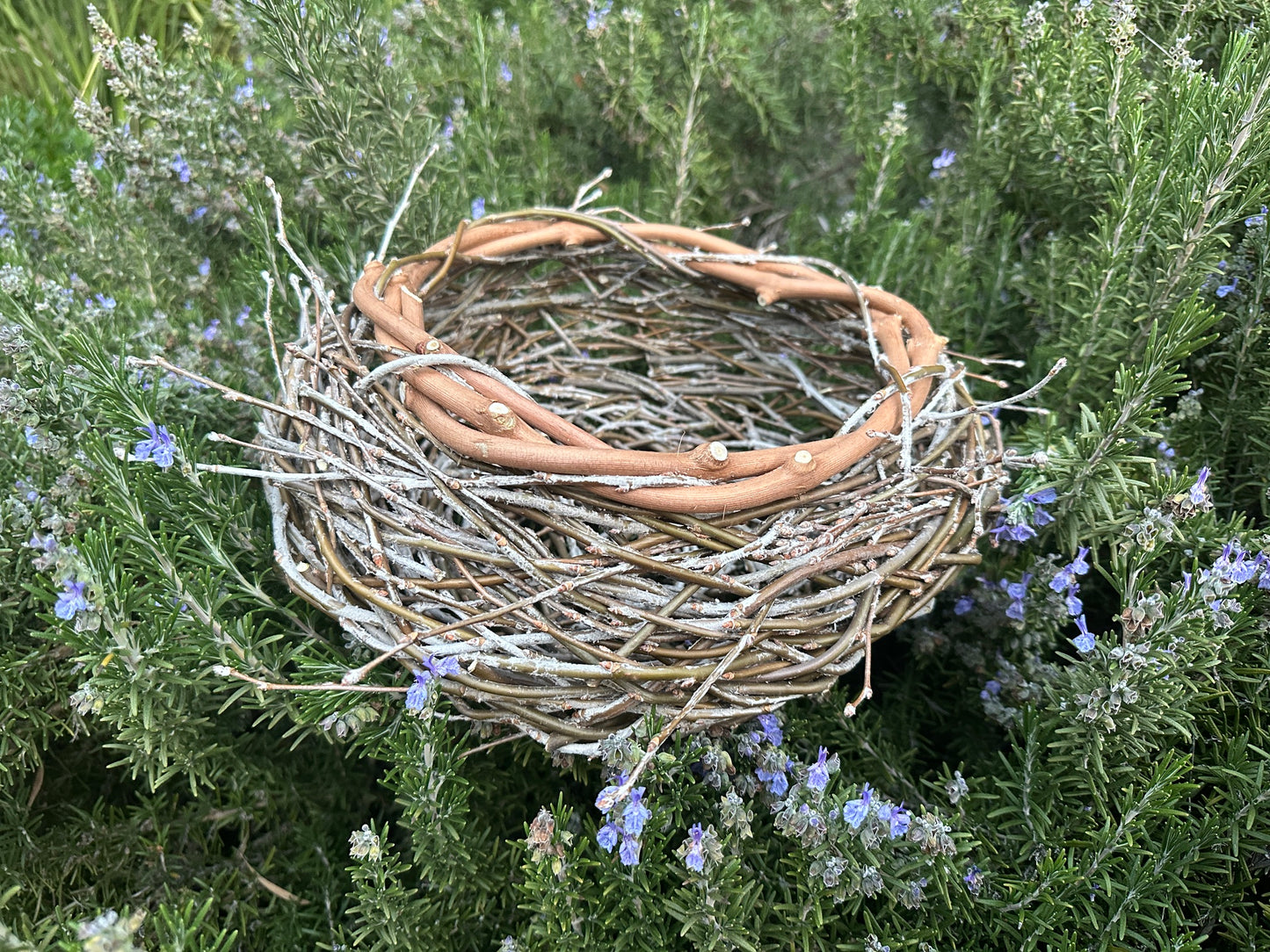 Random Weave Basketmaking Workshop
