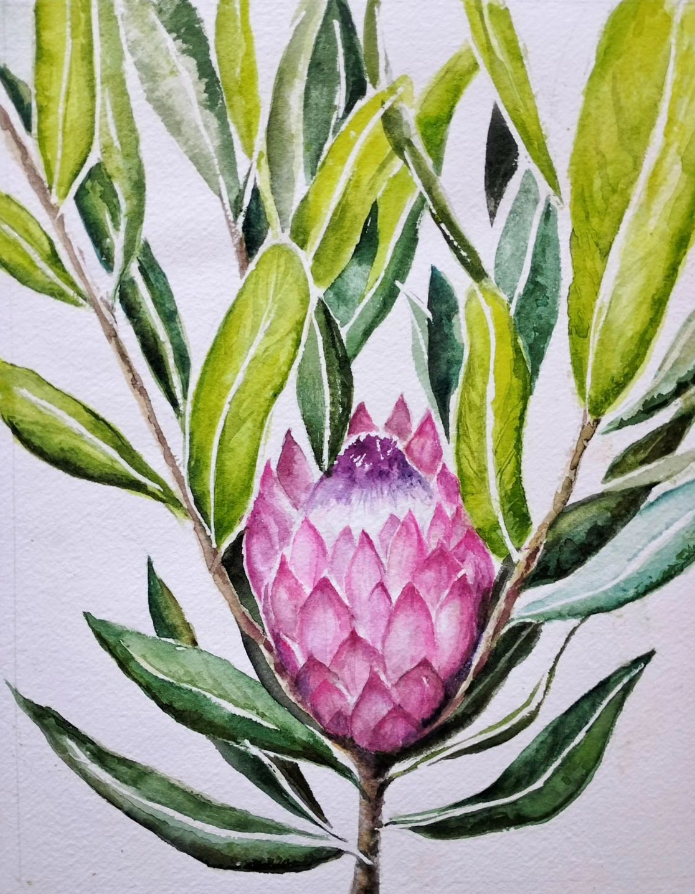 Anjee Du Terreau Hand painted Artwork -  "Protea" 38x30