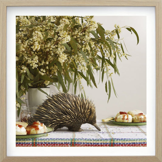 JASON MCDONALD - THE ECHIDNA SCONES & ANTS