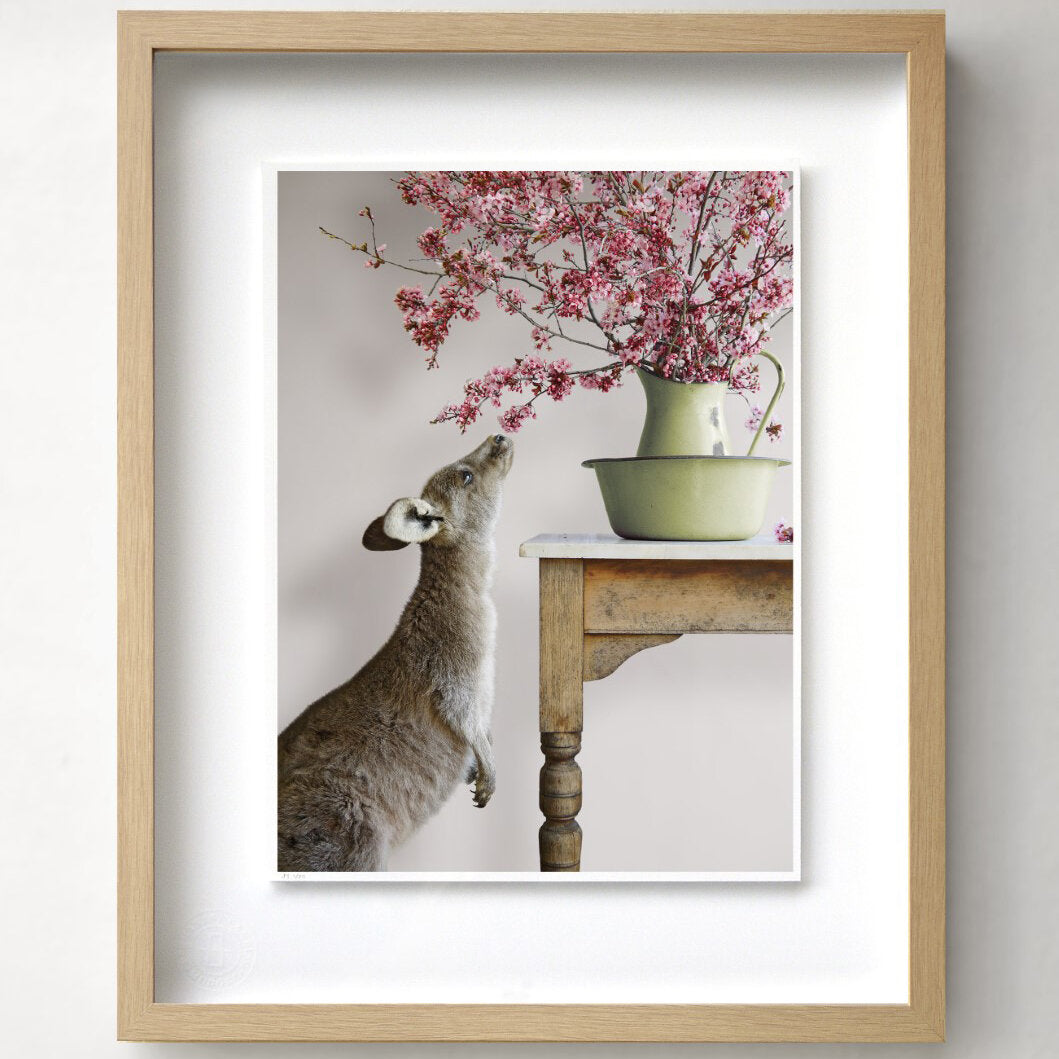 SMELL THE BLOSSOM BY JASON MACDONALD