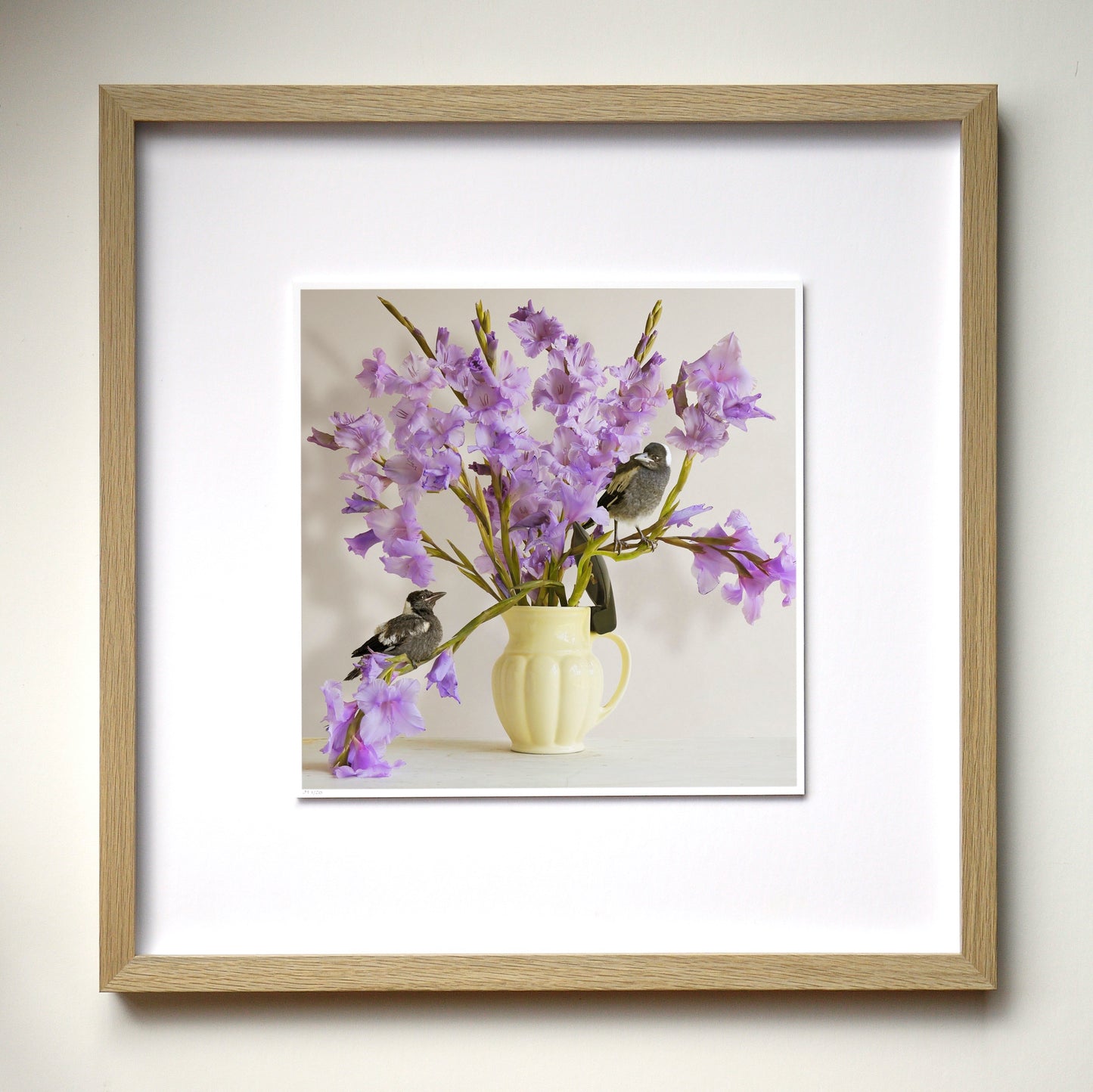 Magpies & Gladiolus - Framed Art by Jason McDonald Mudgee